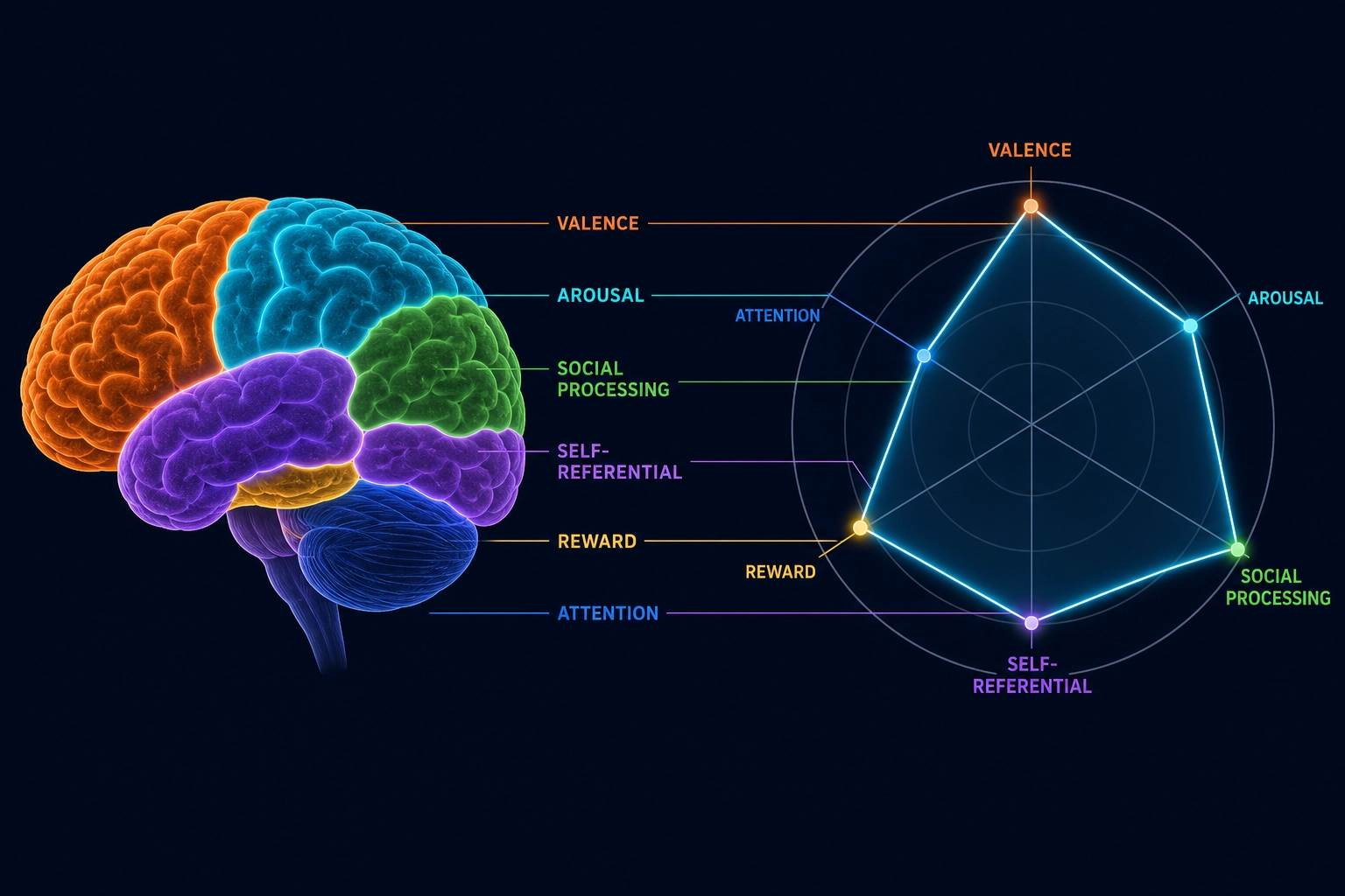 Specificity makes experiential characterization possible. The brain's hardware is specific: identifiable networks and regions ground measurable dimensions of experience, though the mapping is not one-to-one. A brain encoding model predicts which networks activate and how strongly. From the activation pattern, Khozai positions the viewer's predicted response in an experiential space - valence, arousal, social processing, self-referential engagement, reward, attention - where each dimension is grounded in identifiable brain circuitry with known functional specificity.