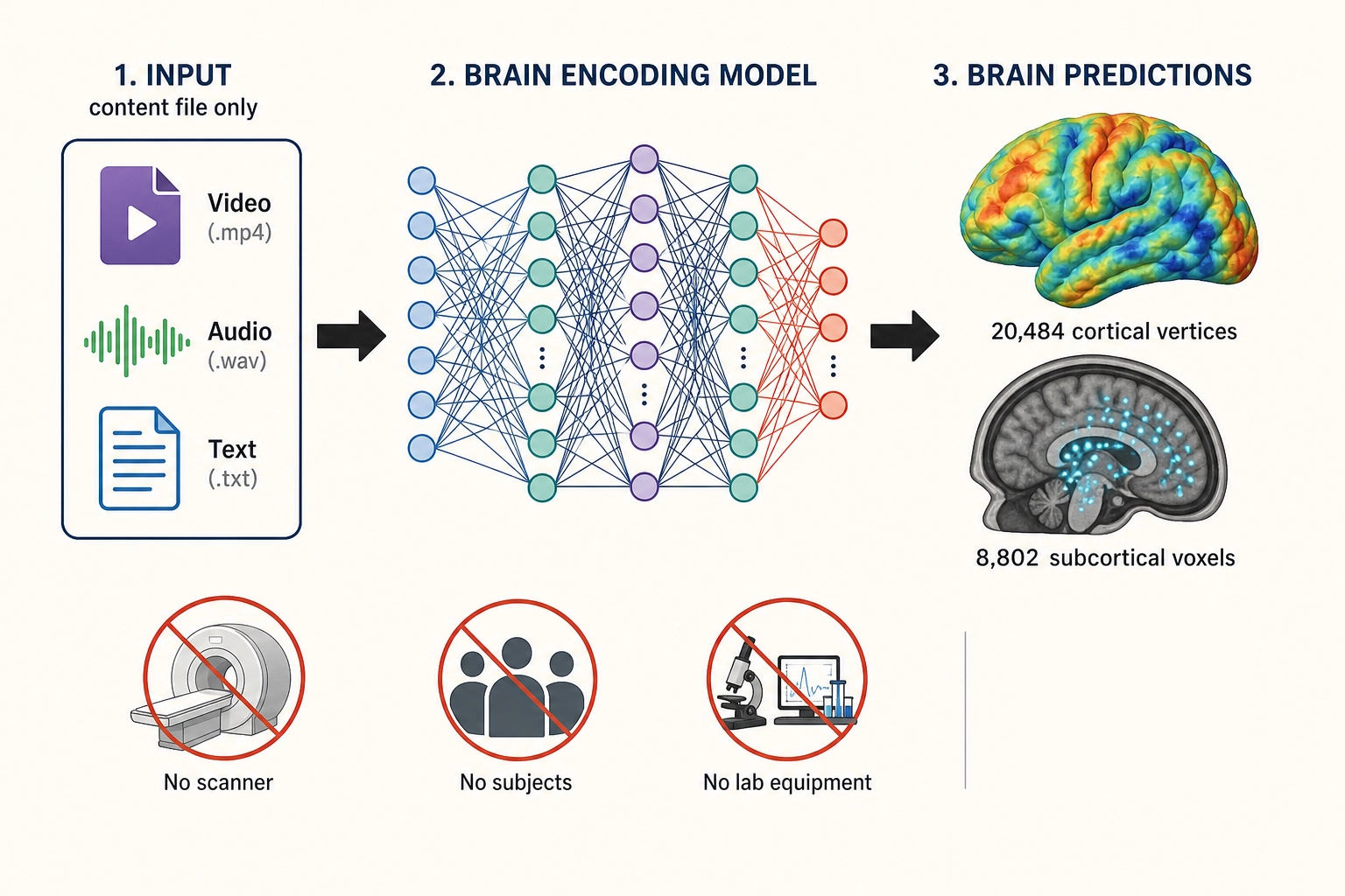The TRIBE v2 pipeline. A content file - video, audio, text - enters the model. No scanner, no subjects, no lab. The model predicts blood-flow response across the whole brain: 20,484 cortical vertices plus approximately 8,802 subcortical voxels. Thousands of predictions per hour on a GPU, from the content file alone.