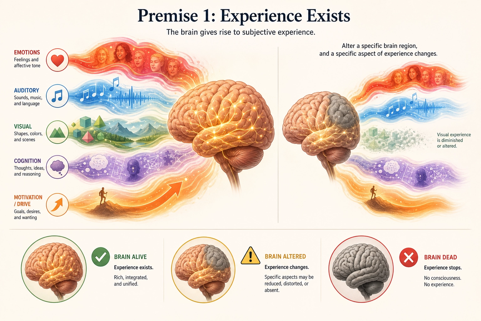 Premise 1: Experience Exists. A living brain surrounded by subjective experience - colors, sounds, emotions, thoughts, sensations - radiating outward. When the brain is altered (a region dimmed), a specific aspect of experience fades while others remain vivid. The premise establishes existence: experience is real, produced by the brain, and altered when the brain is altered.
