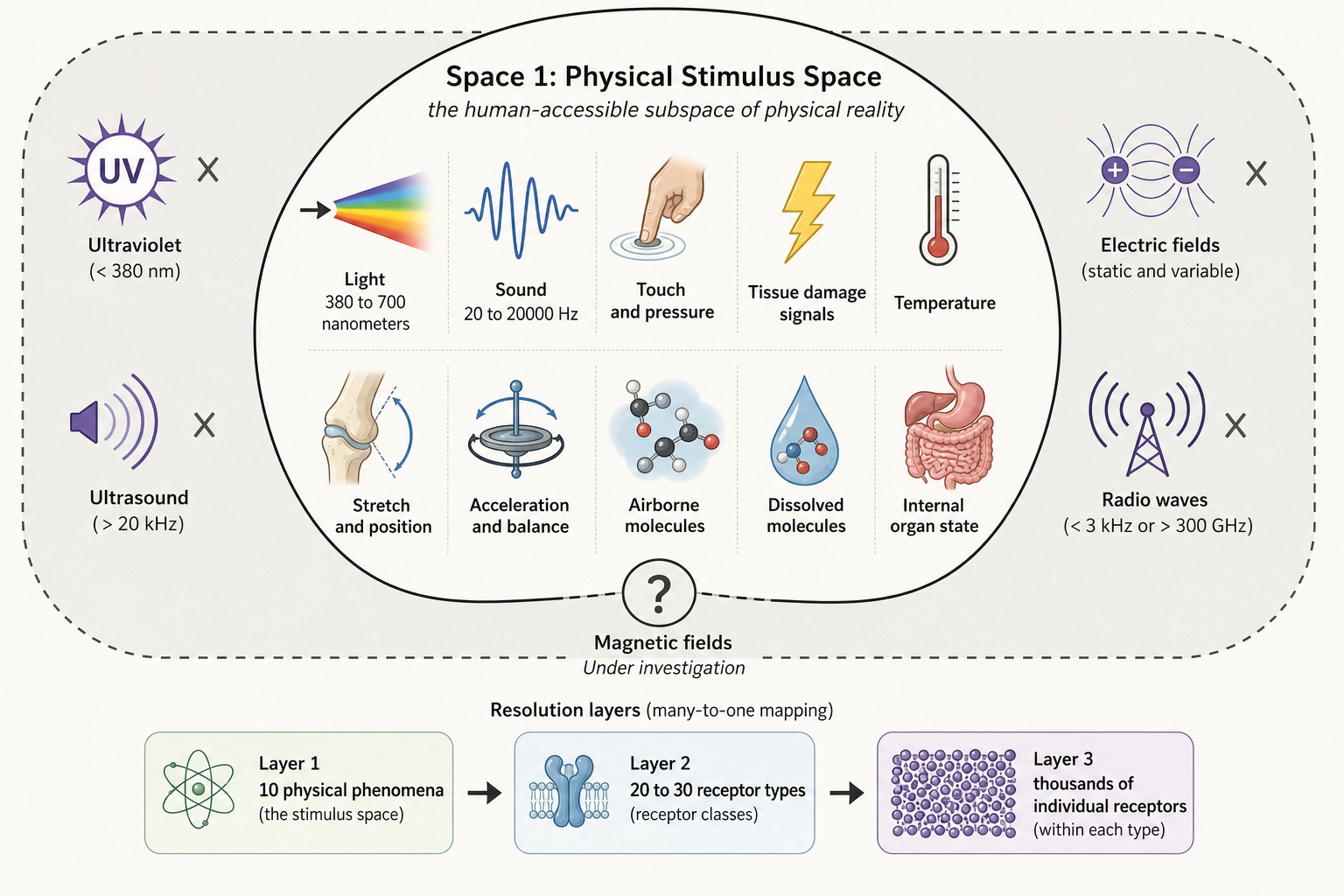 Space 1: Physical Stimulus Space. A bounded region within the larger expanse of all physical reality. The boundary is defined by the ten receptor systems from Premise 2 - only energy that can pass through one of these gateways enters the space. Inside: light, sound, pressure, temperature, chemical signals. Outside: magnetic fields, ultraviolet, ultrasound, electric fields. The space is finite, multi-resolution, and closed.