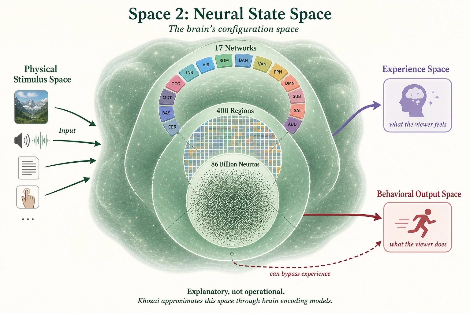 Space 2: Neural State Space. A vast configuration space with ~86 billion dimensions at the finest resolution, collapsing to ~400 regions, then ~17 networks at the coarsest. A single point represents the brain's complete state at one instant. The space mediates between Physical Stimulus Space (input) and both Experience Space (what the viewer feels) and Behavioral Output Space (what the viewer does).