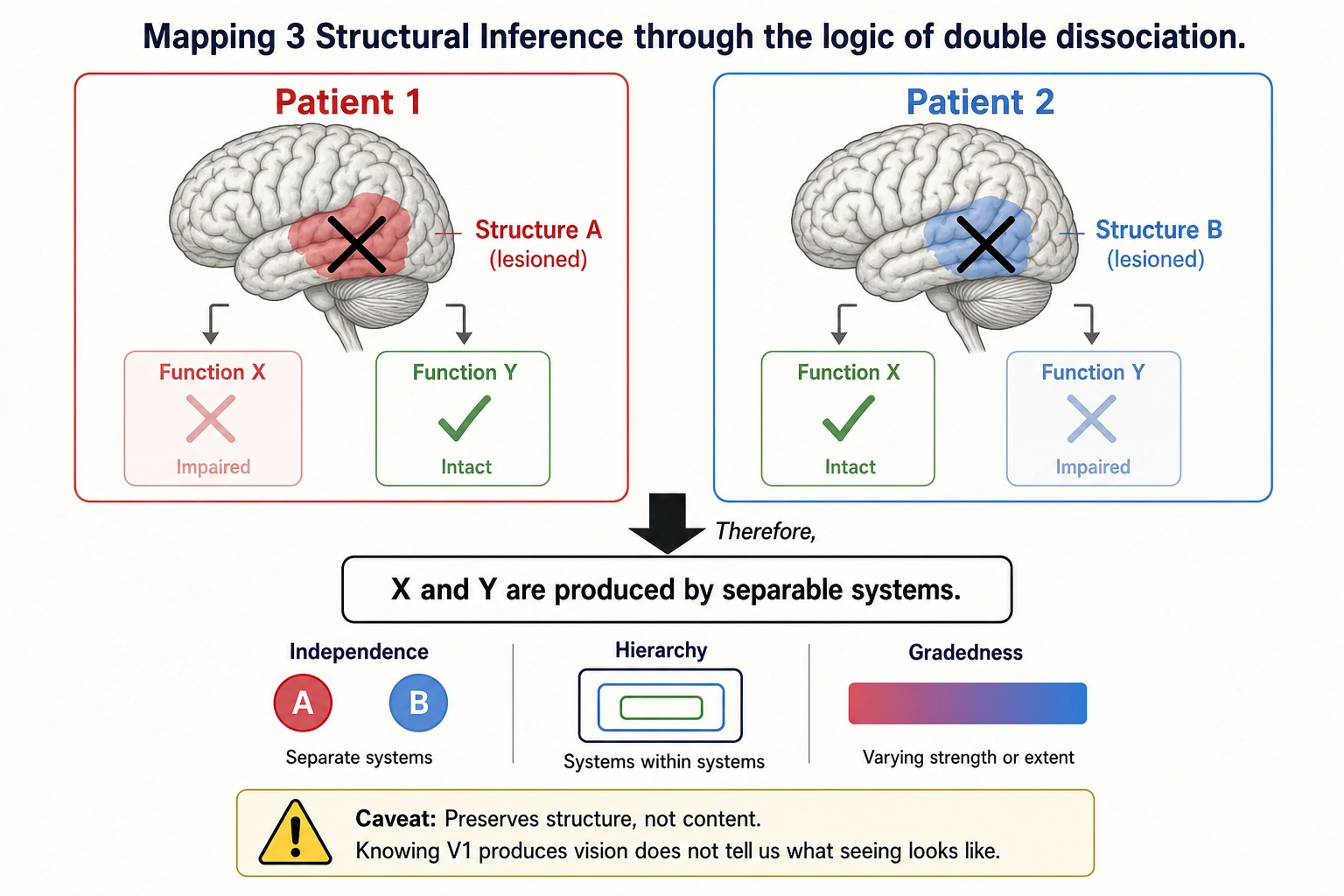 Mapping 3: Structural Inference. The logic of double dissociation: if destroying structure A eliminates function X but preserves function Y, and destroying structure B eliminates Y but preserves X, then X and Y must be produced by separable systems. This inference - from neural architecture to experiential architecture - is the mapping the framework actually uses. It preserves independence, hierarchy, and gradedness. It does not preserve content: knowing that V1 produces a visual dimension does not tell us what seeing looks like.