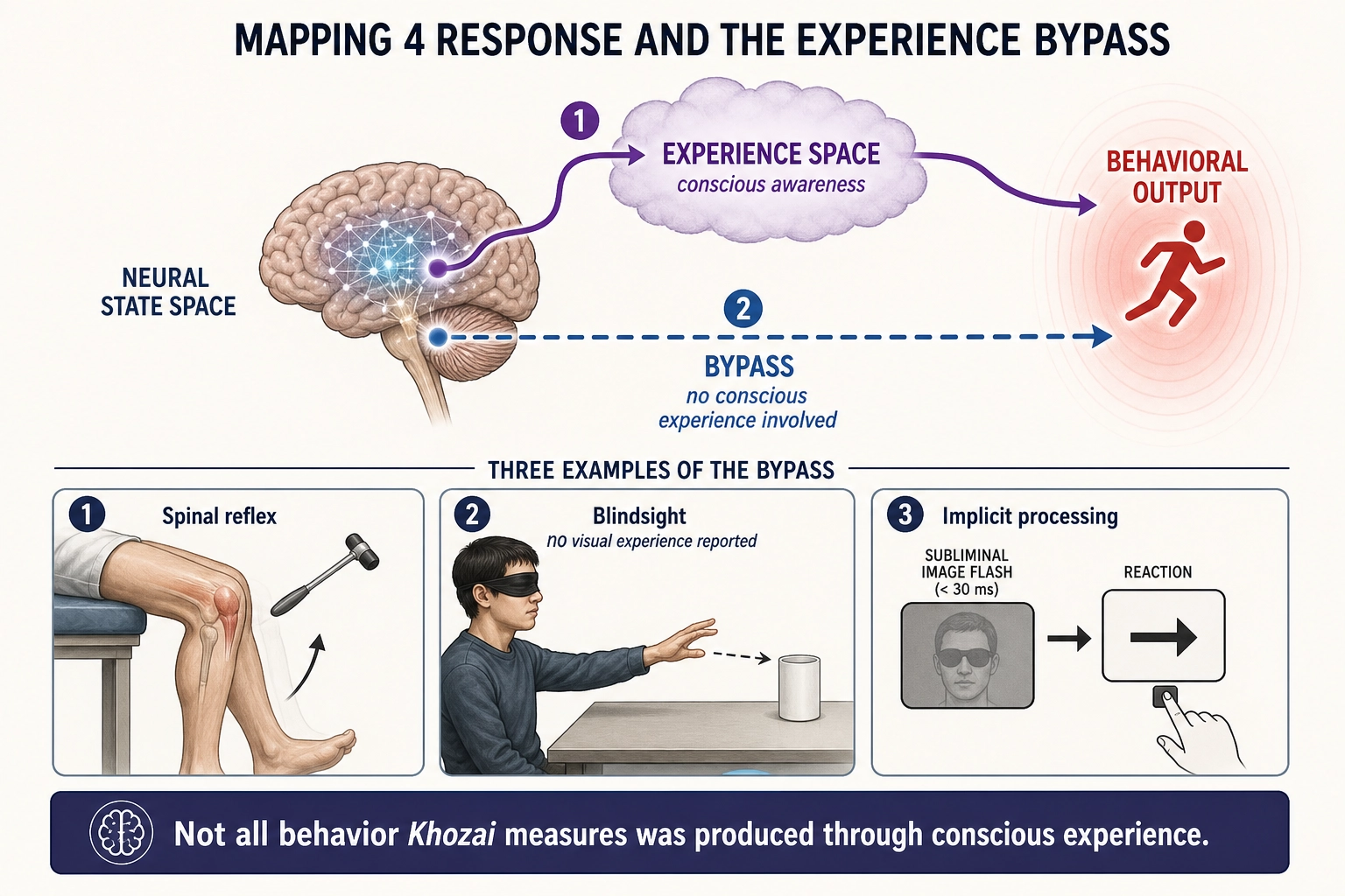 Mapping 4: Response. Neural State Space produces behavioral output - but this mapping can bypass Experience Space entirely. Blindsight demonstrates the bypass: patients with destroyed visual cortex report no visual experience yet respond accurately to visual stimuli when forced to guess. Not all behavior that Khozai measures was produced through conscious experience.