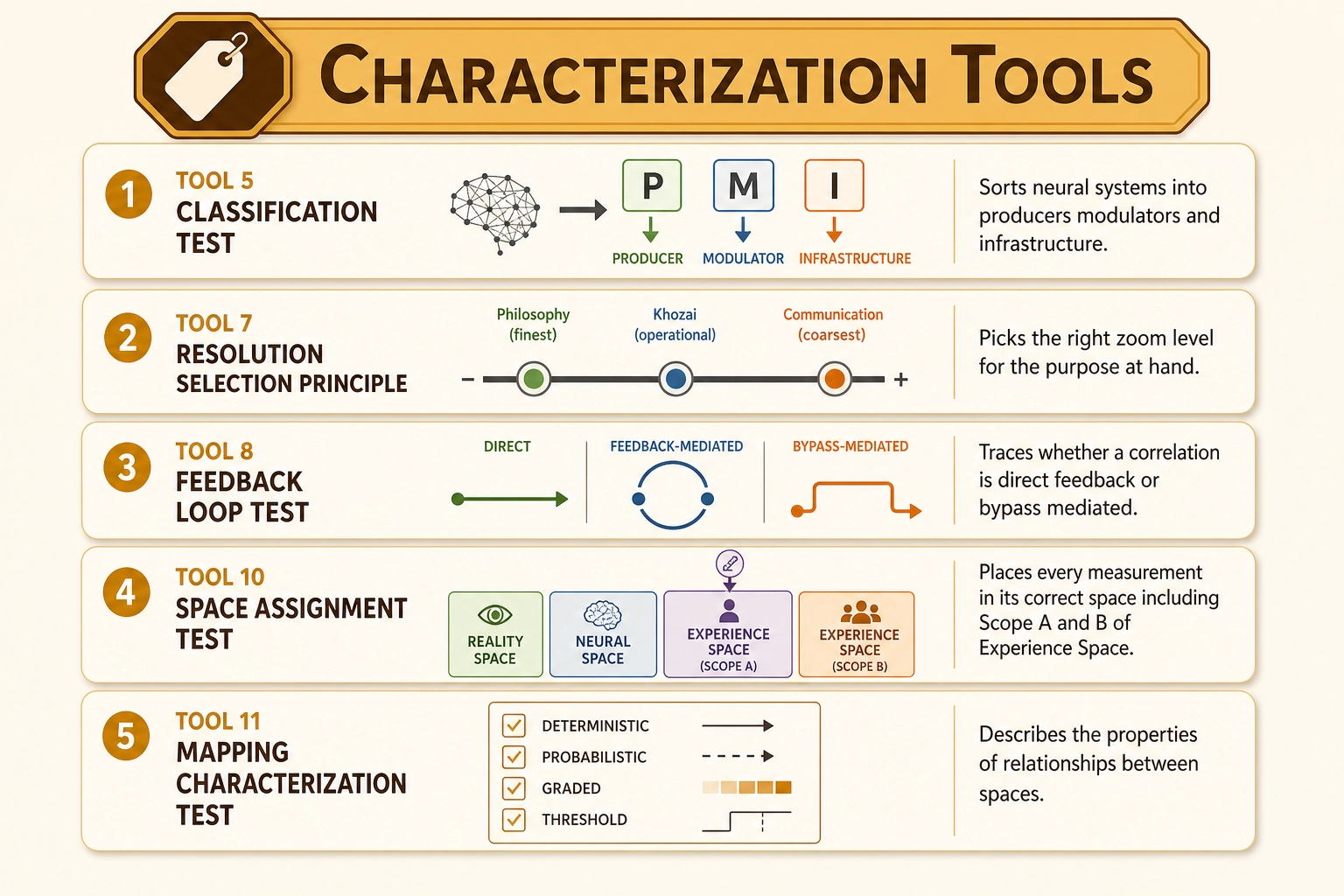 Characterization Tools (Tools 5, 7, 8, 10, 11). Five operations for classifying and assigning framework components. The Classification Test sorts neural systems into producers, modulators, and infrastructure. The Resolution Selection Principle picks the right zoom level for the purpose at hand. The Feedback Loop Test traces causal paths. The Space Assignment Test places every measurement in its correct domain. The Mapping Characterization Test describes the properties of relationships between spaces.