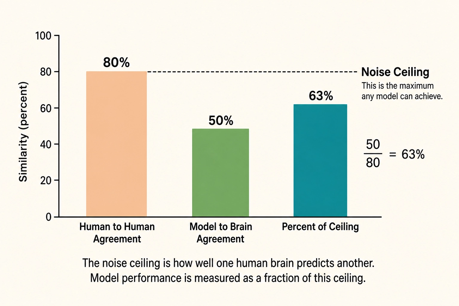The noise ceiling concept. Human-to-human brain pattern agreement sets the theoretical maximum any model can achieve. If brain-to-brain agreement is 80% and model-to-brain agreement is 50%, the model captures 63% of what is consistent across human brains - the remaining 37% reflects individual differences no model should be expected to predict.
