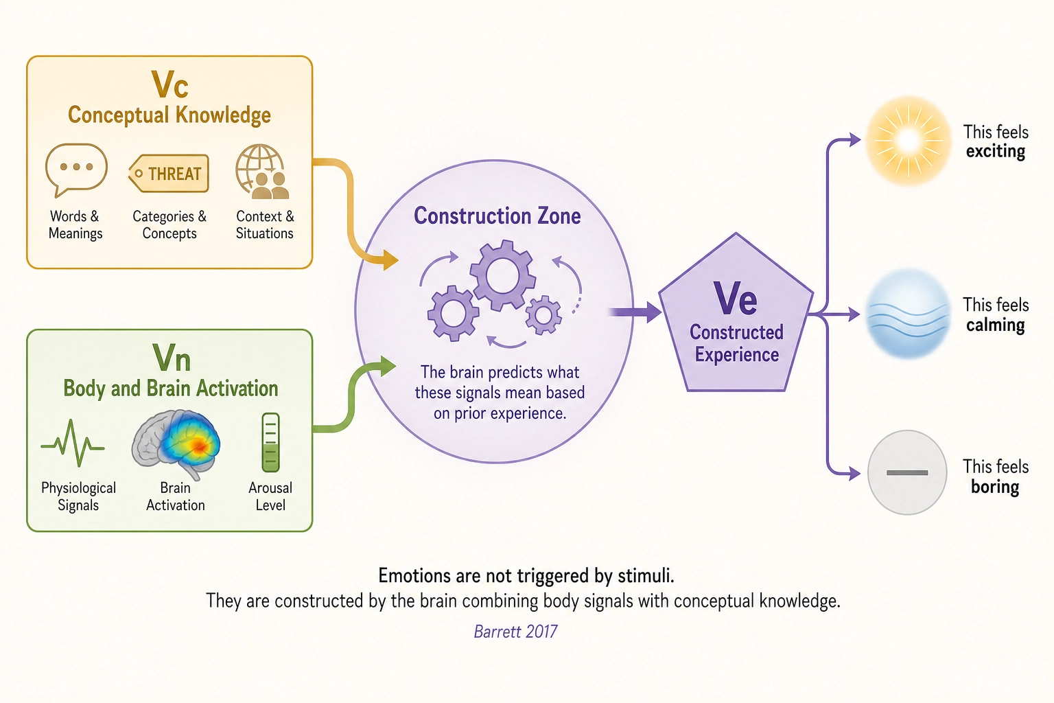 Barrett's constructionist theory mapped to Ve's architecture. The brain constructs emotions by combining interoceptive signals (internal body states like heartbeat, gut feelings) with conceptual knowledge (from past experience and cultural learning). Ve mirrors this: Vn provides the neural activation patterns analogous to interoceptive signals, Vc provides the semantic and conceptual content, and psychological mapping models combine them into experiential dimensions.
