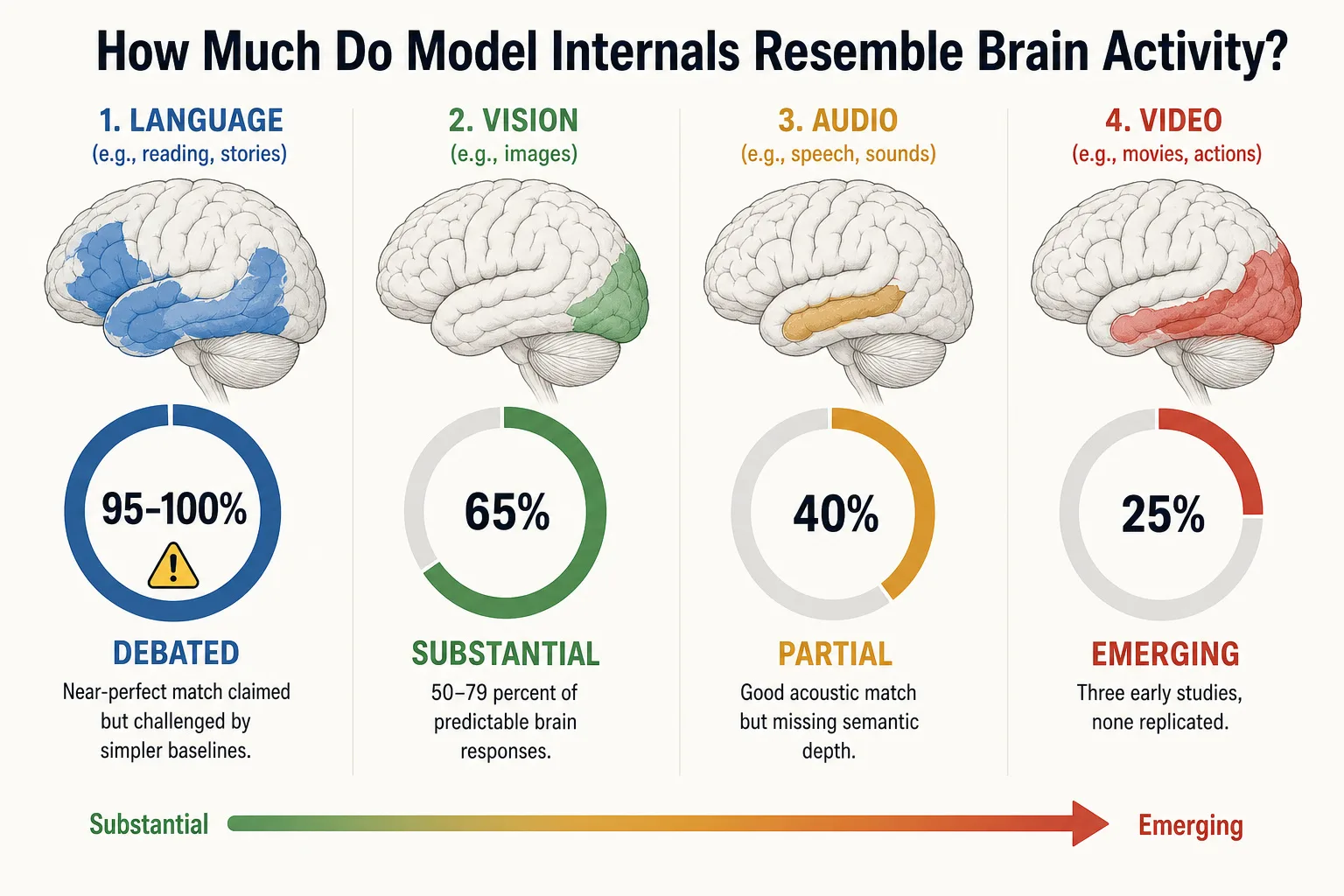 Brain similarity evidence across four modalities. How much do model internals resemble brain activity? Text: near-ceiling match reported (Schrimpf 2021), but debated - simpler baselines achieve 72-92% of the same prediction (Hadidi 2026). Images: substantial - 50-79% of predictable brain responses across a decade of RSA studies, best result 79% with vision-language models. Audio: partial - 70-74% in primary auditory cortex but missing semantic depth in higher regions. Video: emerging - three early studies (all 2025), roughly 25-30% shared variance, none replicated, no VLM-RSA study yet.