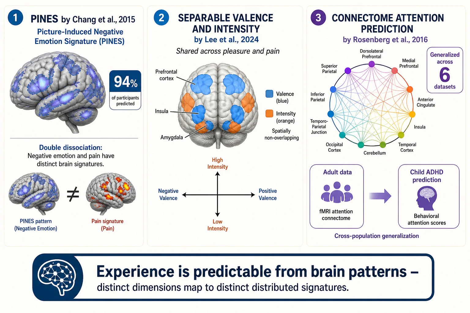 Three landmark studies proving that experiential dimensions can be predicted from brain patterns. Left - PINES (Chang et al. 2015): a distributed brain signature that predicted negative emotional experience in 94% of participants and double-dissociated from the pain signature - distinct experiences map to distinct brain patterns. Center - Separable valence and intensity (Lee et al. 2024): seven brain regions encode affective valence and intensity in spatially non-overlapping representations, shared across pleasure and pain. Right - Connectome attention prediction (Rosenberg et al. 2016): a whole-brain connectivity model predicted sustained attention across six independent datasets, including predicting ADHD symptoms in children from adult data.