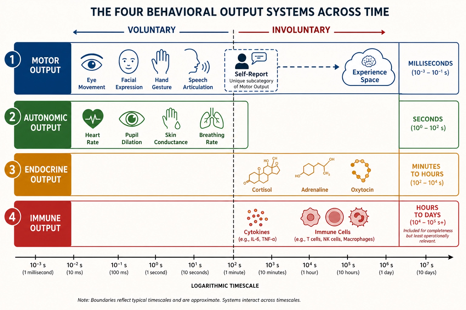 Four behavioral output systems arranged by timescale. Motor output (milliseconds): eye movements, facial expression, hand gestures, speech. Autonomic output (seconds): heart rate, pupil dilation, skin conductance, breathing. Endocrine output (minutes-hours): cortisol, adrenaline, oxytocin. Immune output (hours-days): cytokines, immune cells. Self-report is a special subcategory of motor output that bridges to Experience Space. A vertical line separates voluntary (motor, partial autonomic) from involuntary (endocrine, immune).