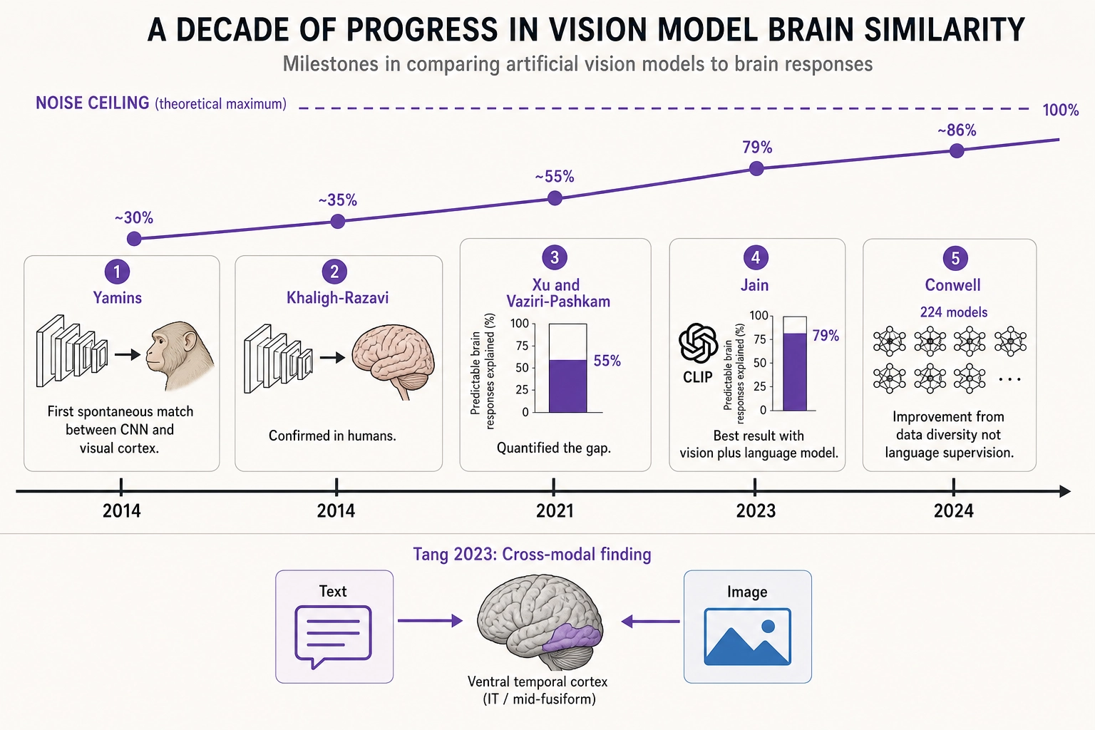 A decade of progress in image brain similarity (2014-2024). Yamins 2014: first spontaneous match between CNN and macaque visual cortex. Khaligh-Razavi 2014: confirmed in humans. Xu and Vaziri-Pashkam 2021: quantified the gap at 50-60% of predictable brain responses. Jain 2023: best result at 79% with vision-language model (CLIP). Conwell 2024: improvement driven by data diversity, not language supervision. A rising trend approaches but does not reach the noise ceiling.