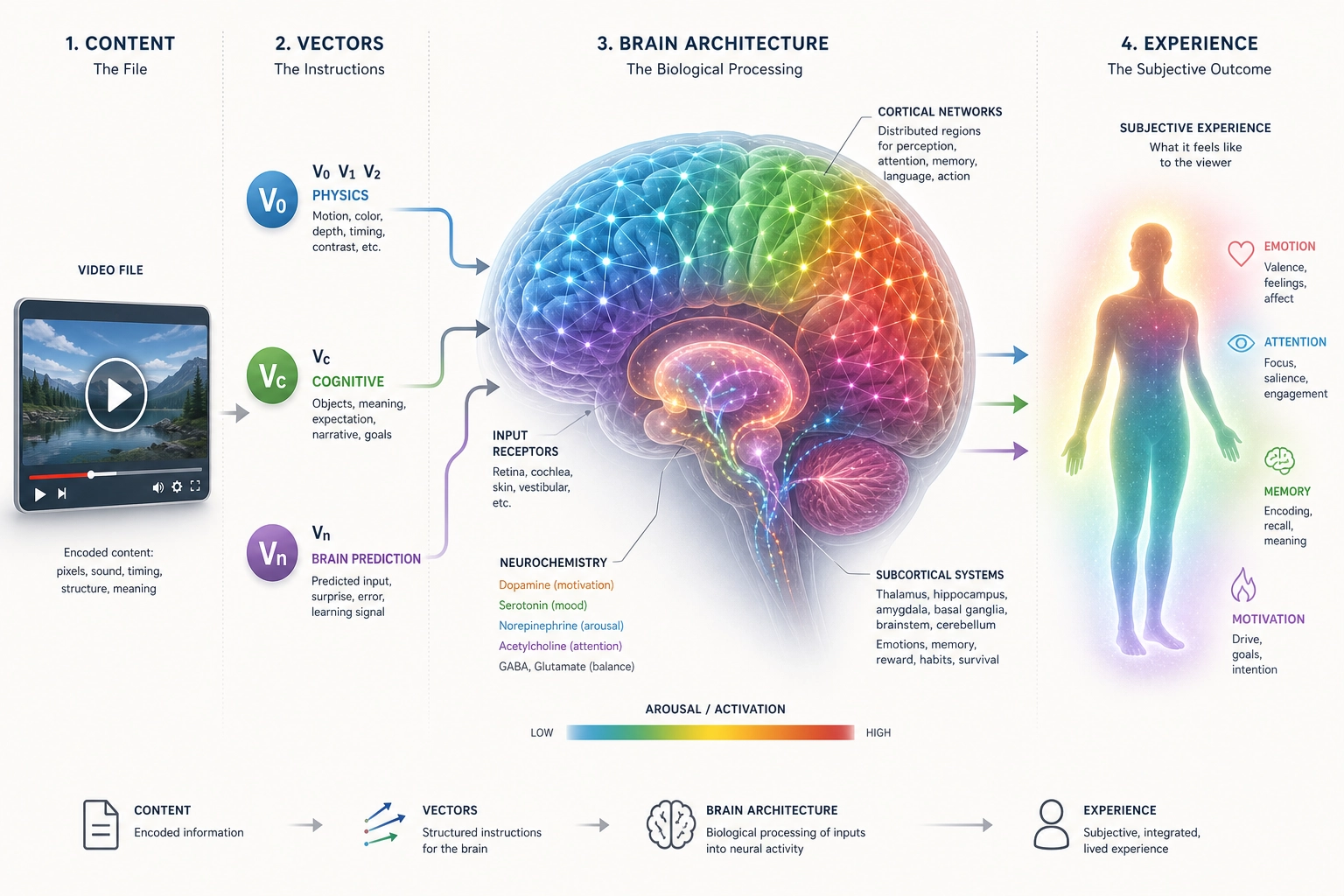 The brain's architecture as a layered system. Content enters as measurable physical properties. TRIBE v2 predicts how the brain's architecture - 360 cortical regions, 7 networks, 6 chemical systems, subcortical structures - responds. That response maps to specific dimensions of the viewer's experience (Chapter 4).