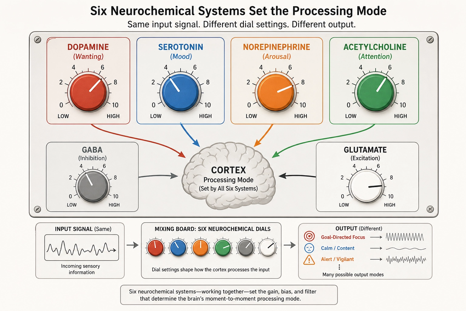 The six neurochemical systems as a control panel. Four modulatory systems (dopamine for wanting, serotonin for mood, norepinephrine for arousal, acetylcholine for attention) project from small brainstem clusters to the cortex. Two infrastructure systems (GABA for inhibition, glutamate for excitation) are distributed everywhere. Together they set the brain's processing mode.