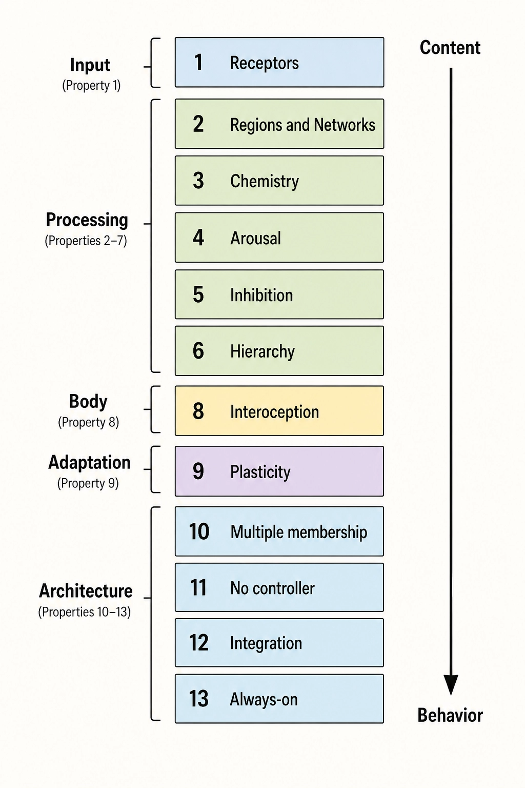 The thirteen properties as a chain from content to behavior. Input (P1: receptors), Processing (P2-3: regions and networks, P4: chemistry, P5: arousal, P6: inhibition, P7: hierarchy), Body (P8: interoception), Adaptation (P9: plasticity), and Architecture (P10-13: multiple membership, no controller, integration, always-on). Each property is a link: remove it and the chain breaks in a specific, traceable way.
