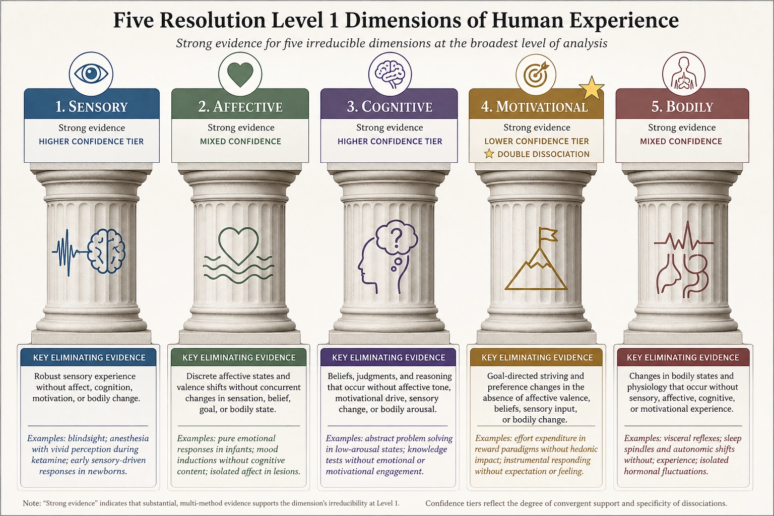 Five Resolution Level 1 dimensions of human experience: Sensory (Strong evidence, higher confidence), Affective (Strong, mixed confidence), Cognitive (Strong, higher confidence), Motivational (Strong, lower confidence, the only RL1 dimension with a full double dissociation), Bodily (Strong, mixed confidence). Each shows its key eliminating evidence.