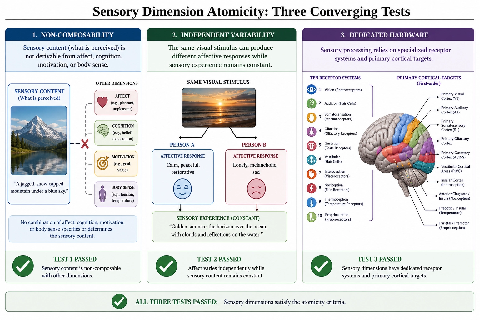 The Sensory dimension's atomicity check (Tool 2). Three panels: non-composability (sensory content not derivable from other dimensions), independent variability (same stimulus producing different affective responses while sensory experience is constant), dedicated hardware (ten receptor systems and primary cortical targets). All three sub-tests passed.