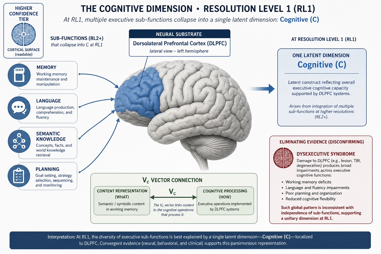The Cognitive dimension: dorsolateral prefrontal cortex as the primary hardware, with sub-functions (memory, language, semantic knowledge, planning) that collapse into one dimension at Resolution Level 1. Higher confidence tier (cortical surface, readable by TRIBE v2). Vc connection: content representation approximates cognitive processing.