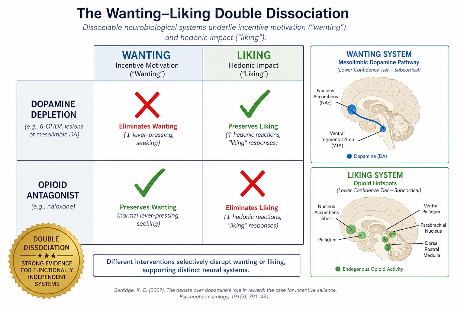 The wanting-liking double dissociation. Dopamine depletion eliminates wanting but preserves liking. Opioid antagonists eliminate liking but preserve wanting. The only Resolution Level 1 dimension with a full double dissociation (Tool 1). Both systems are subcortical (lower confidence for TRIBE v2).
