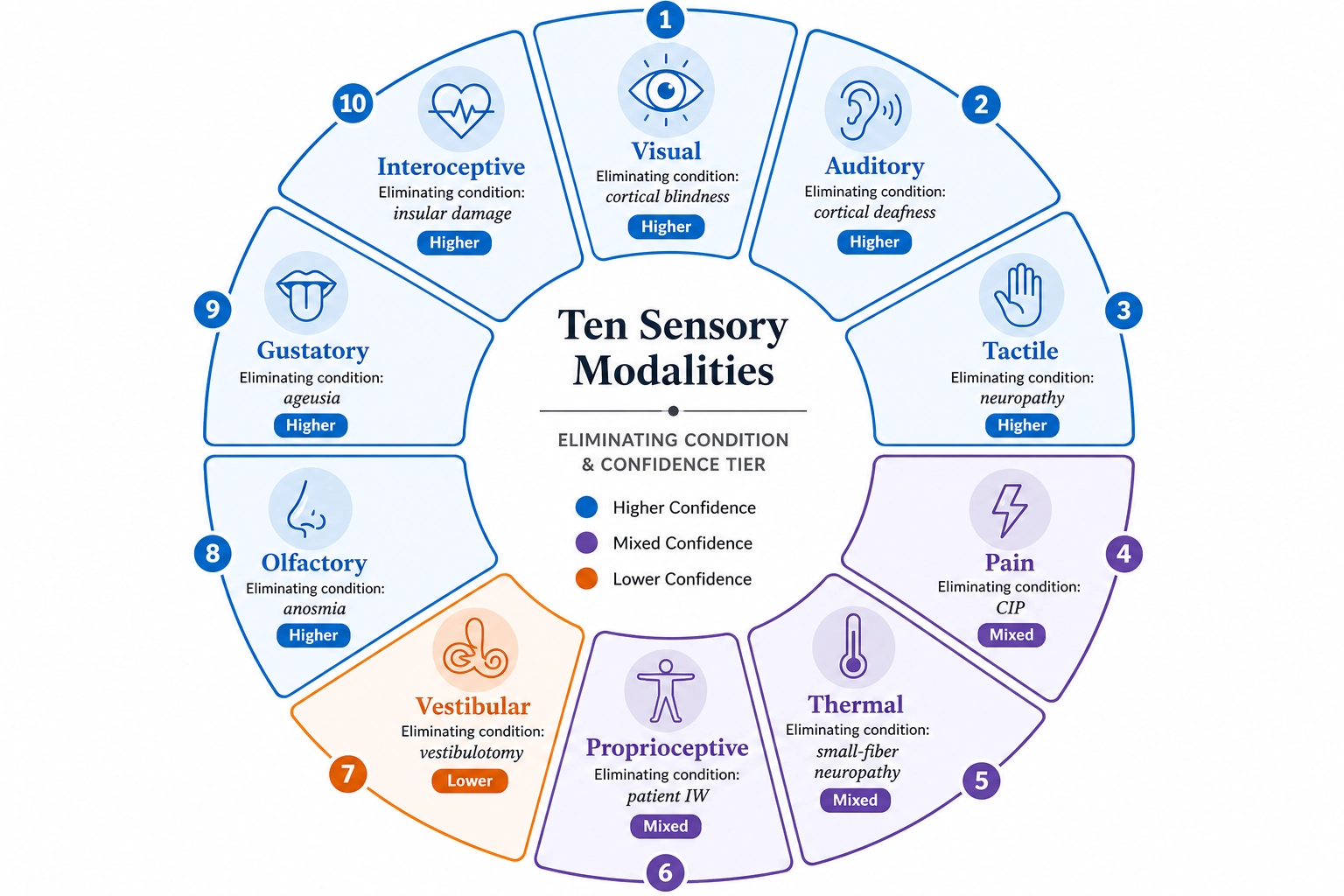 Ten sensory modalities arranged by confidence tier. Higher confidence (blue): Visual, Auditory, Tactile, Olfactory, Gustatory, Interoceptive. Mixed confidence (purple): Pain, Thermal, Proprioceptive. Lower confidence (orange): Vestibular. Each labeled with its eliminating condition and evidence rating.