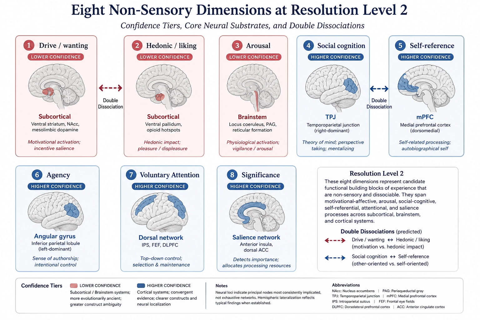Eight non-sensory dimensions at Resolution Level 2. Drive and Hedonic (lower confidence, subcortical) linked by double dissociation. Arousal (lower confidence, brainstem). Social cognition and Self-reference (higher confidence, cortical) linked by double dissociation. Agency, Attention, Significance (higher confidence, cortical).