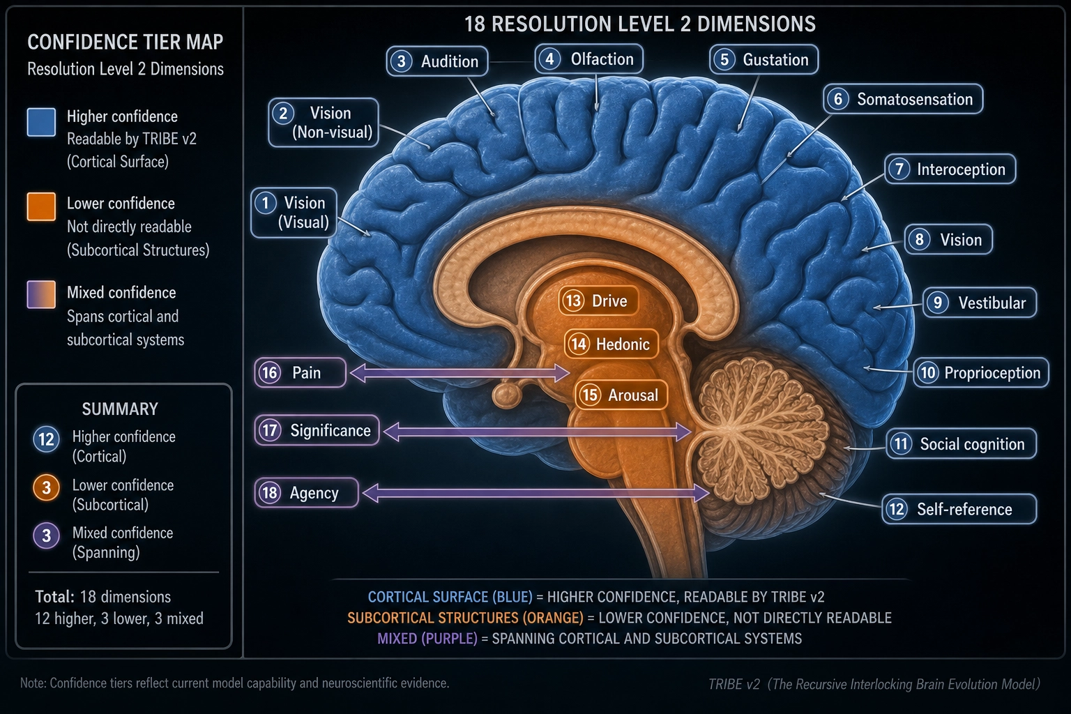 Confidence tier map of all 18 Resolution Level 2 dimensions. Brain cross-section showing cortical surface (higher confidence, readable by TRIBE v2) and subcortical structures (lower confidence, not directly readable). 11 dimensions on cortical surface, 4 in subcortical region (Vestibular, Drive, Hedonic, Arousal), 3 spanning both tiers (Pain, Thermal, Proprioceptive).