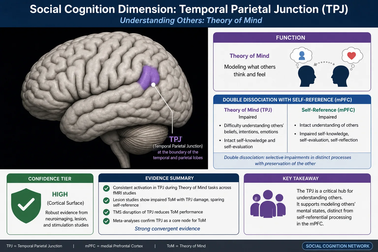 Social cognition: right TPJ damage selectively impairs theory of mind (false-belief reasoning, intention attribution) while self-referential processing and perception remain intact. Higher confidence tier (cortical surface, readable by TRIBE v2). Double dissociation with Self-reference (TPJ vs mPFC).