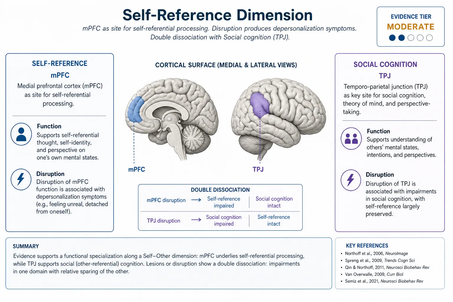 Self-reference: medial prefrontal cortex (mPFC) disruption produces depersonalization-like symptoms while social cognition remains intact. Higher confidence tier (cortical surface, readable by TRIBE v2). Double dissociation with Social cognition: mPFC damage disrupts self-reference but not theory of mind; TPJ damage disrupts theory of mind but not self-reference.