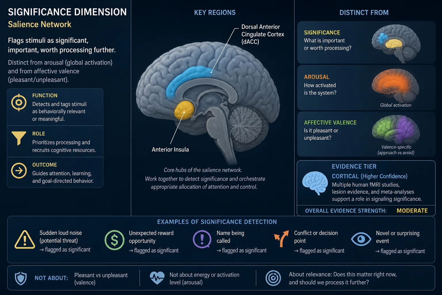Significance: anterior insula and dorsal anterior cingulate cortex (dACC) disruption impairs salience detection - the felt sense that something matters. Higher confidence tier (cortical surface, readable by TRIBE v2). Distinct from Arousal (global activation) and Affective valence (pleasant/unpleasant). Predicts remembering and sharing behavior.