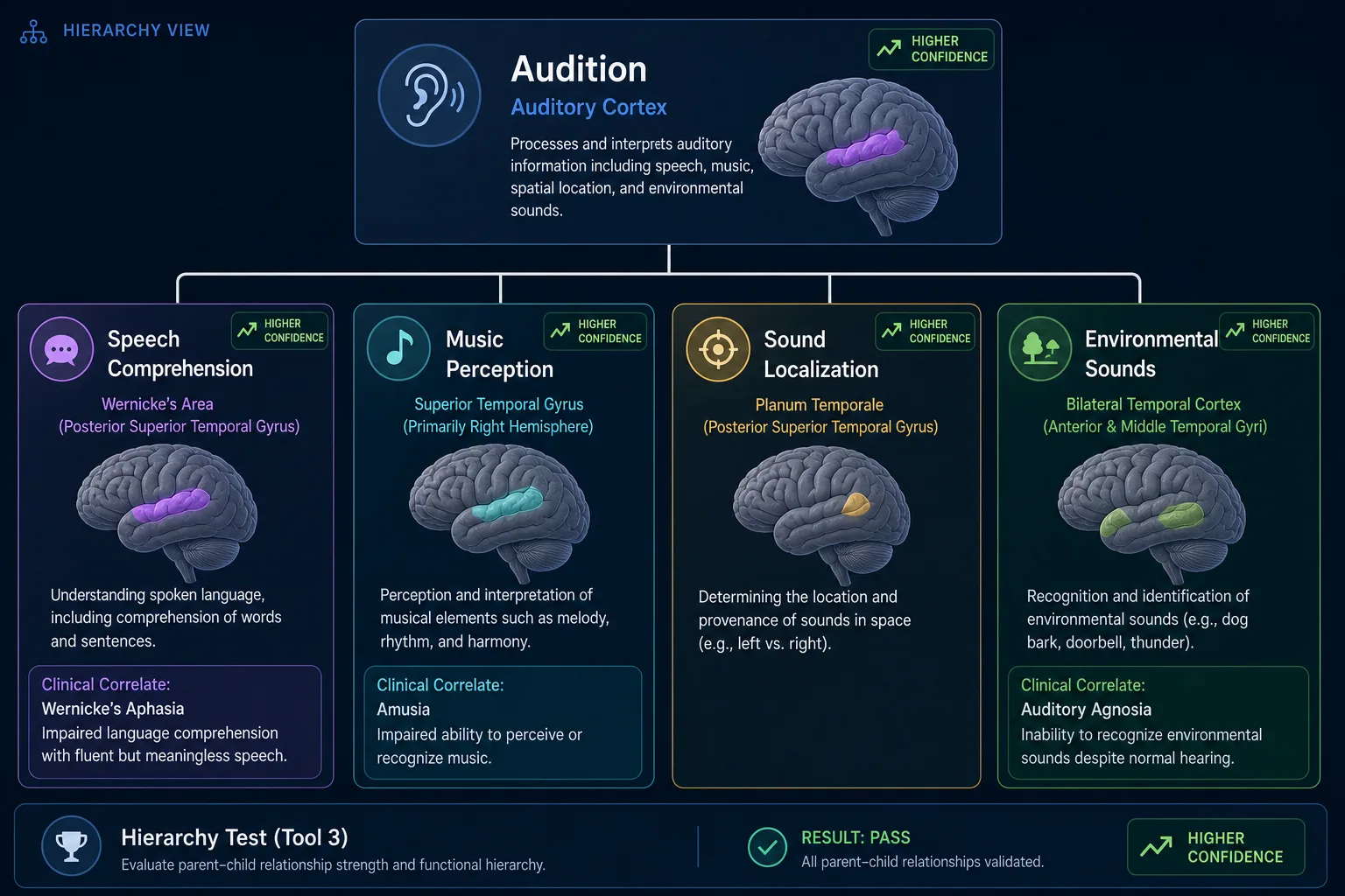 Four within-audition sub-dimensions. Speech comprehension (Wernicke's area, double dissociation with speech production). Music perception (superior temporal gyrus, amusia). Sound localization (planum temporale). Environmental sounds (bilateral temporal cortex, auditory agnosia). All at higher confidence.