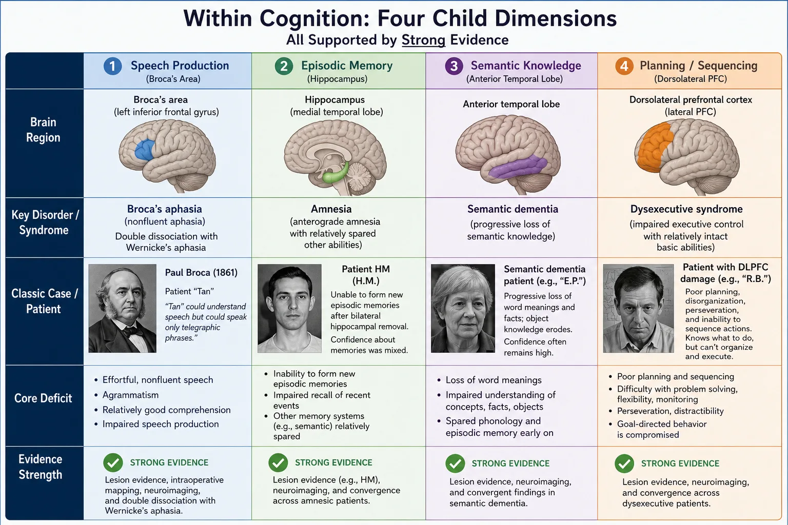 Four within-cognition sub-dimensions. Speech production (Broca's area, double dissociation with comprehension). Episodic memory (hippocampus, patient HM, mixed confidence). Semantic knowledge (anterior temporal lobe, semantic dementia, double dissociation with episodic memory). Planning/sequencing (dorsolateral PFC, dysexecutive syndrome). All Strong evidence.
