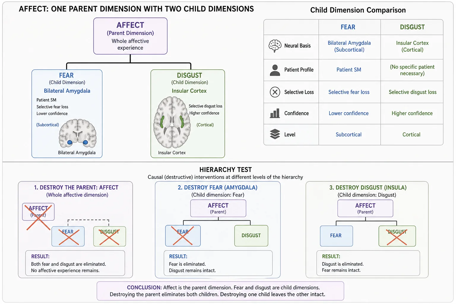 Two within-affect sub-dimensions. Fear: bilateral amygdala destruction (patient SM) selectively eliminates fear while other emotions remain (lower confidence, subcortical). Disgust: insular cortex lesions selectively impair disgust recognition and response (higher confidence, cortical). Fear sits in Khozai's blind spot; disgust is directly readable.