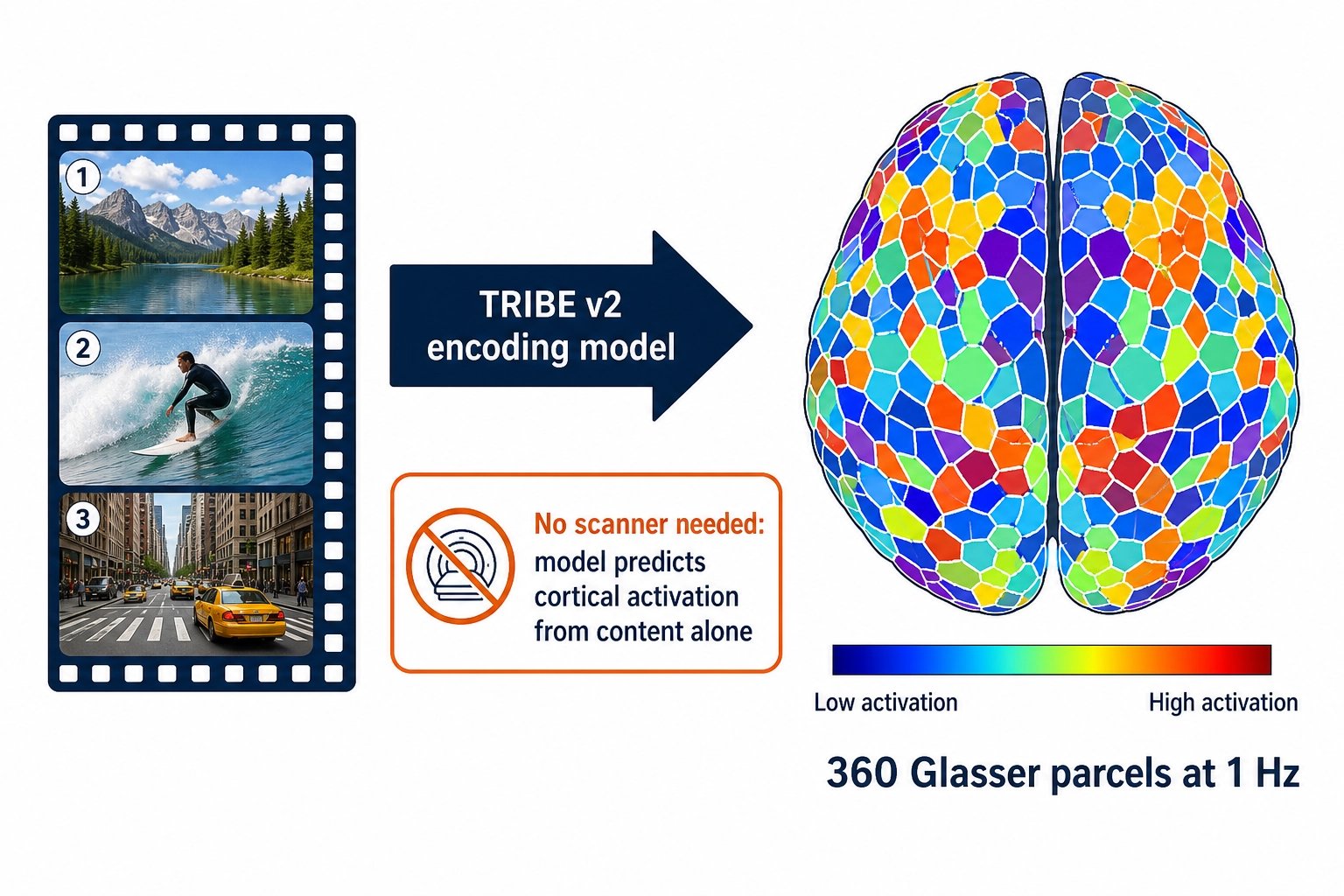 The Vₙ brain encoding model: content goes in, predicted cortical activation across 360 Glasser areas at 1 Hz comes out, with no scanner or subject involved.