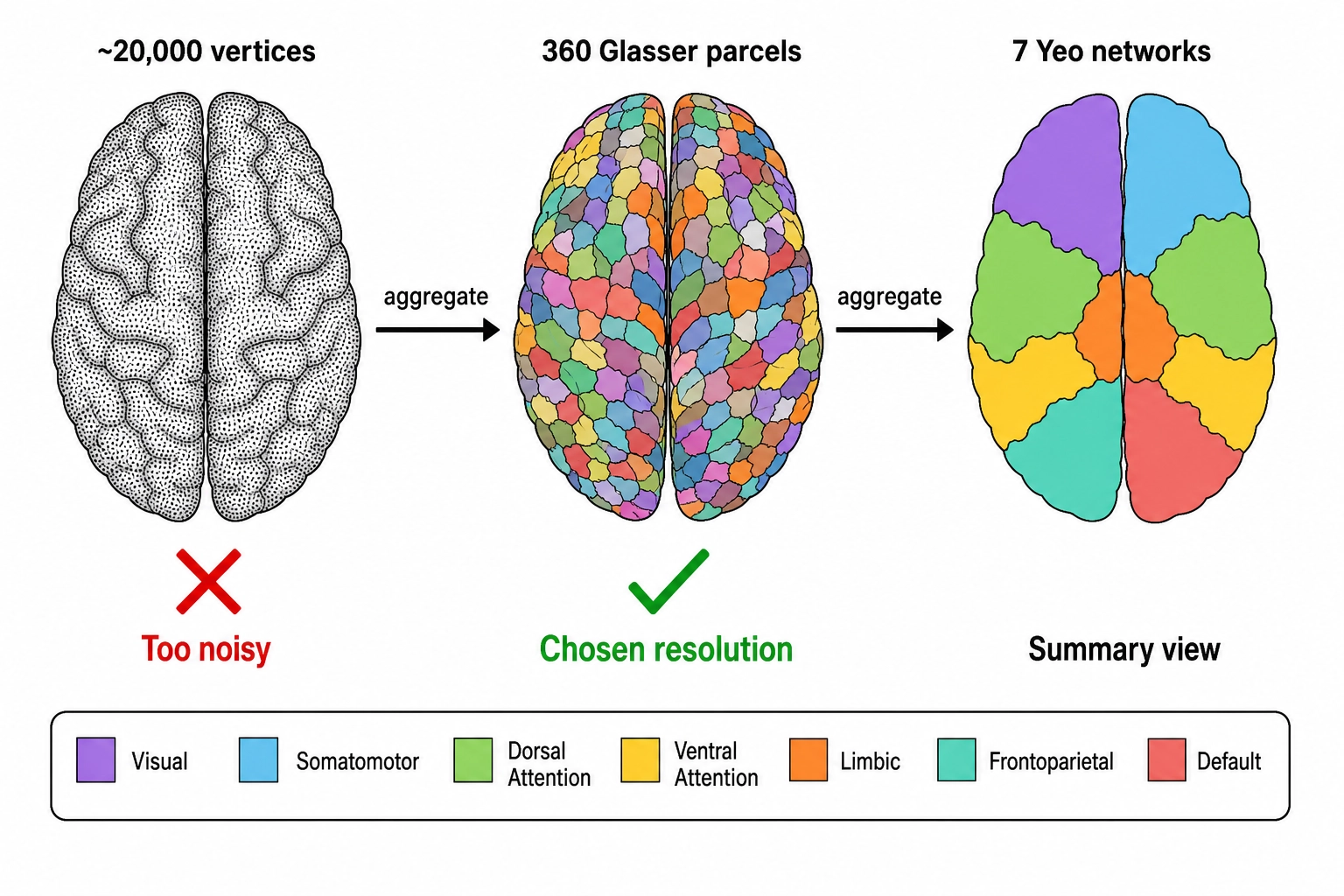 Three aggregation levels: vertex-level (~20,000, rejected), Glasser 360 (locked primary), and Yeo 7 (coarse reporting tier).