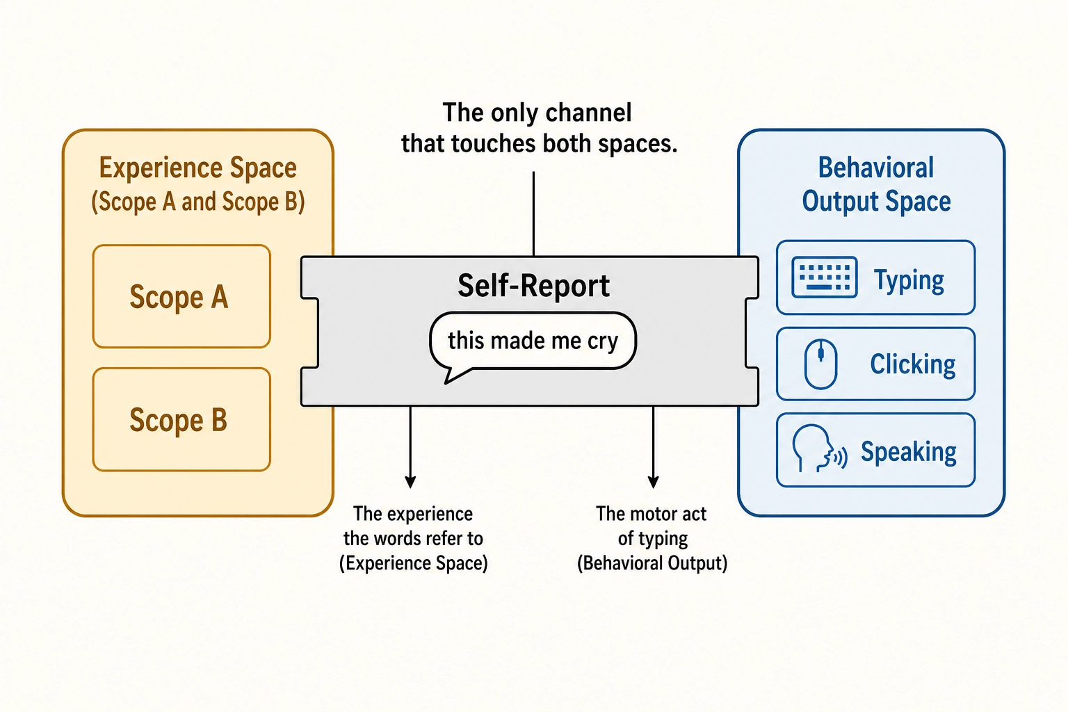 Self-report as a bridge between Experience Space and Behavioral Output Space. The motor act of typing a comment lives in Behavioral Output Space; the experience the words refer to lives in Experience Space. Self-report is the only channel that touches both spaces.