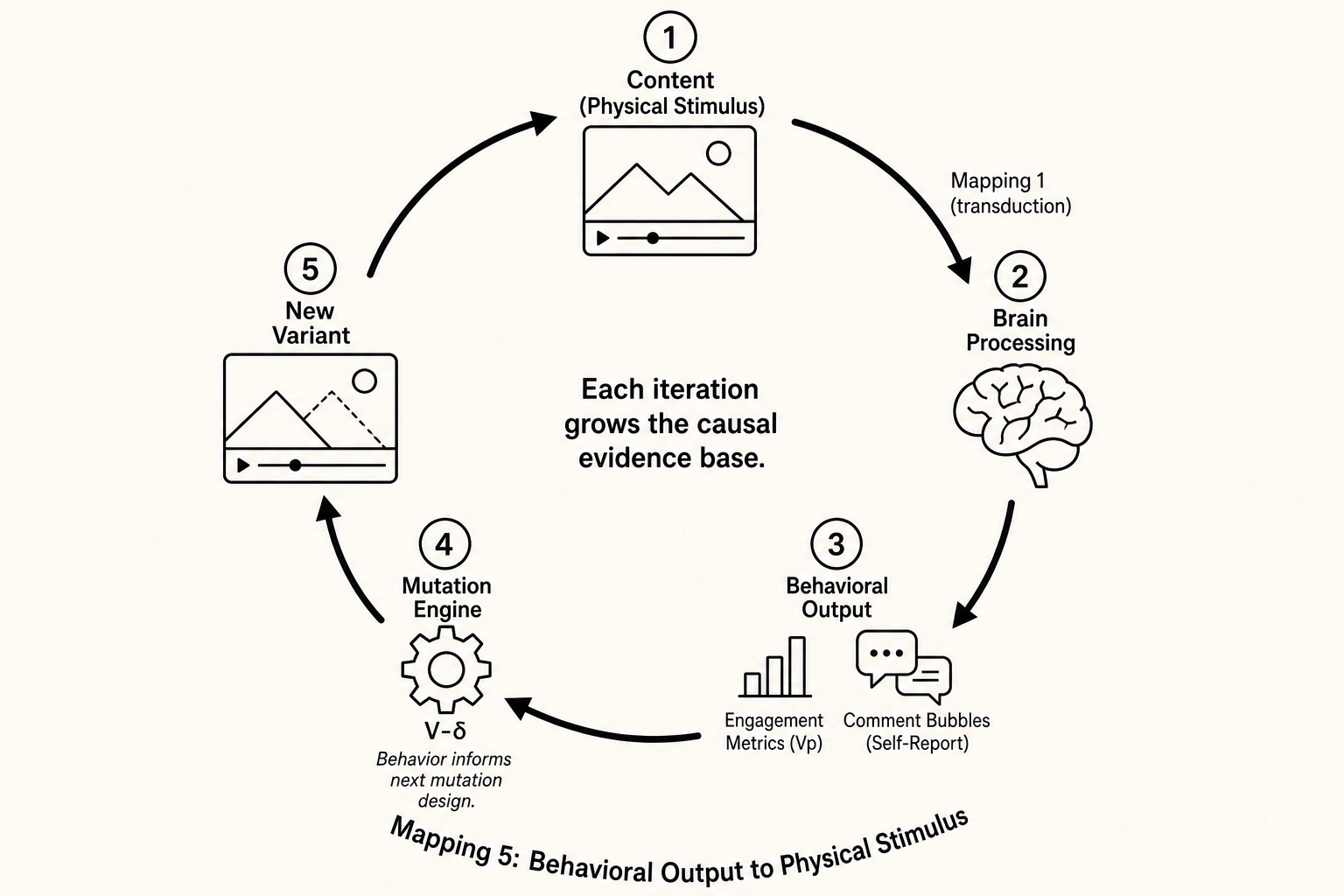 The Mapping 5 feedback loop: content (physical stimulus) enters the brain through transduction, produces behavioral output (Vp and self-report), which informs the mutation engine's next experiment design, which generates a new variant, which re-enters the system as a new stimulus. Each iteration grows the causal evidence base. This is the Behavioral Output to Physical Stimulus loop that Chapter 2 defined.