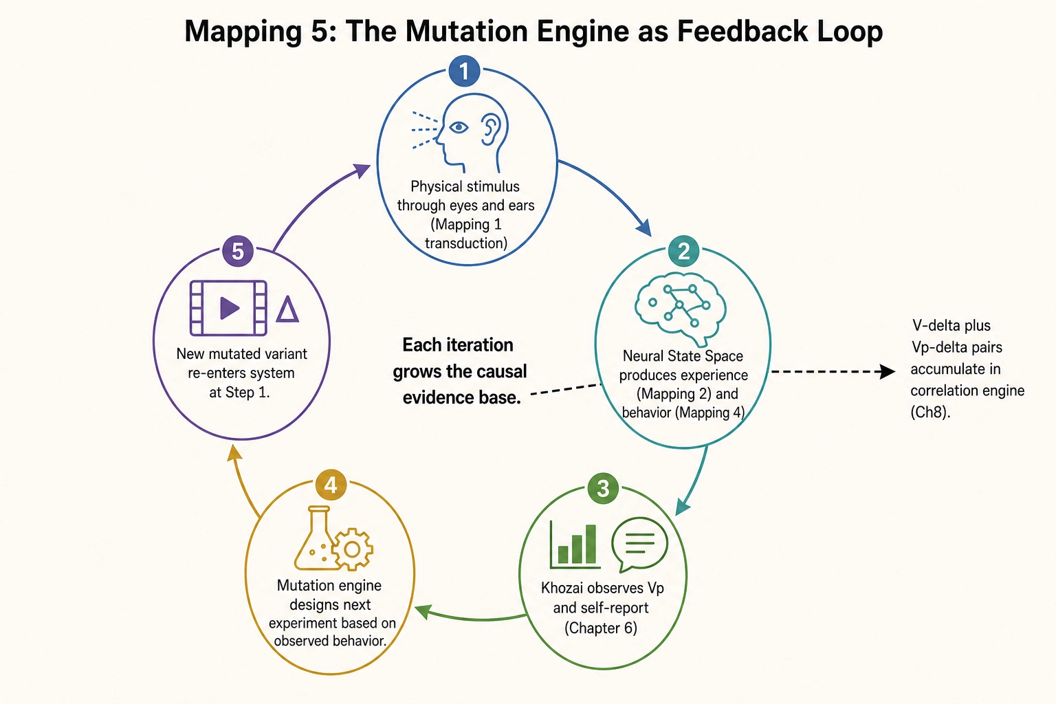The Mapping 5 feedback loop as five numbered steps in a cycle. Step 1: content enters viewer brain (physical stimulus, transduction). Step 2: brain processing produces experience and behavioral output. Step 3: Khozai observes Vp and self-report (Chapter 6). Step 4: mutation engine designs next experiment based on observed behavior. Step 5: new mutated variant re-enters the system at Step 1. Each iteration grows the causal evidence base. V-delta plus Vp-delta pairs accumulate in the correlation engine (Ch8).