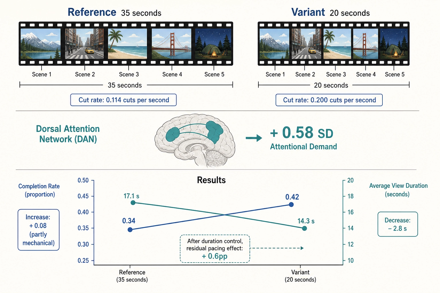Cut-rate mutation - compressed pacing, dorsal attention network shift, and duration-controlled behavioral effects
