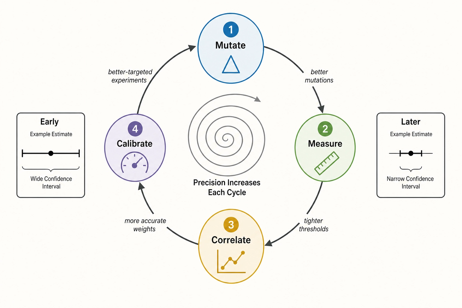 Compounding returns cycle - mutate, measure, correlate, calibrate with increasing precision each iteration