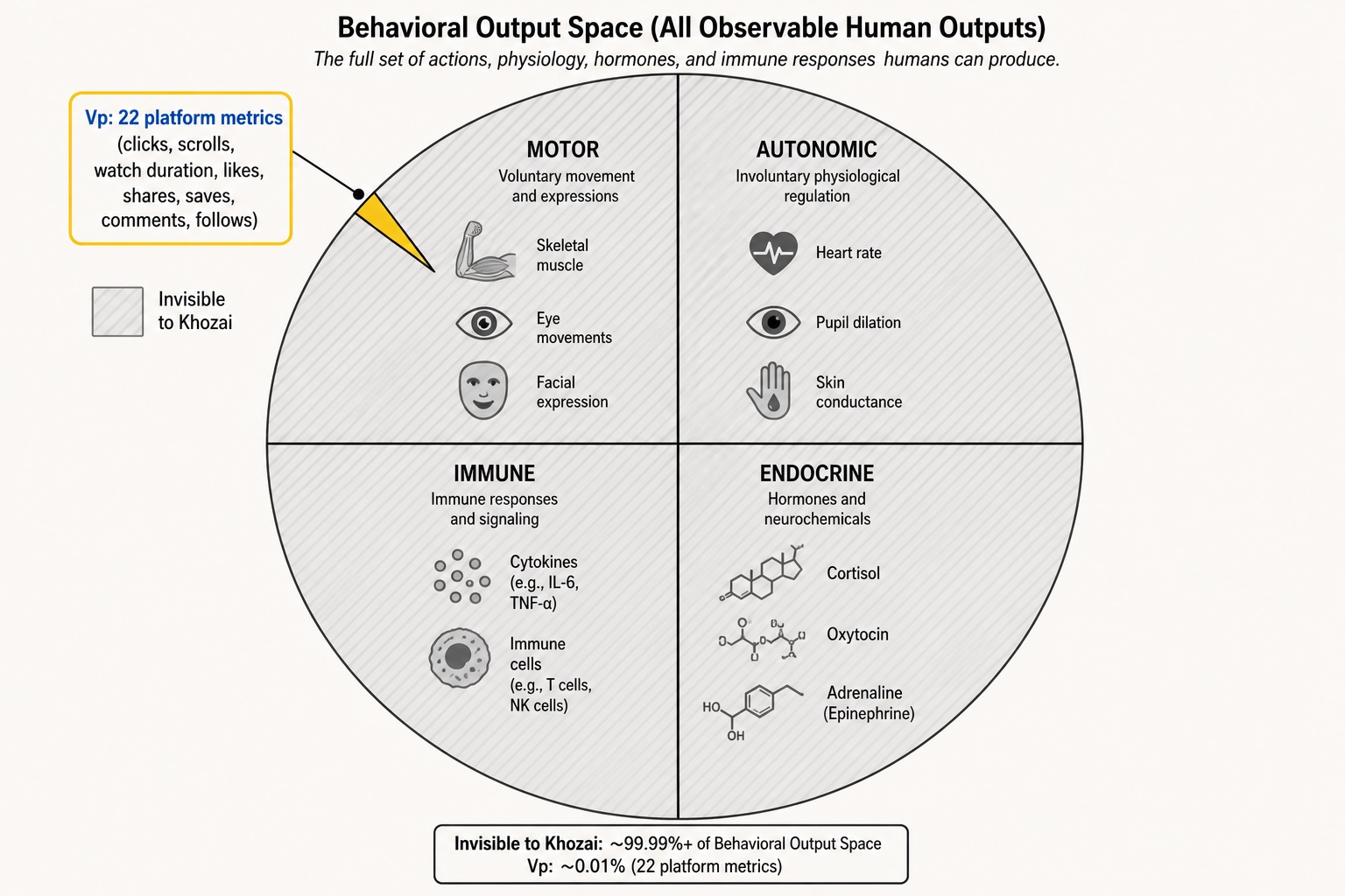Behavioral Output Space coverage. The full space has four quadrants: motor (skeletal muscle, eye movements, facial expression), autonomic (heart rate, pupil dilation, skin conductance), endocrine (cortisol, oxytocin), and immune (cytokines). Khozai's Vp captures only a tiny slice of the motor quadrant: 22 platform metrics (clicks, scrolls, watch duration, likes, shares, saves, comments, follows). Everything else is invisible.