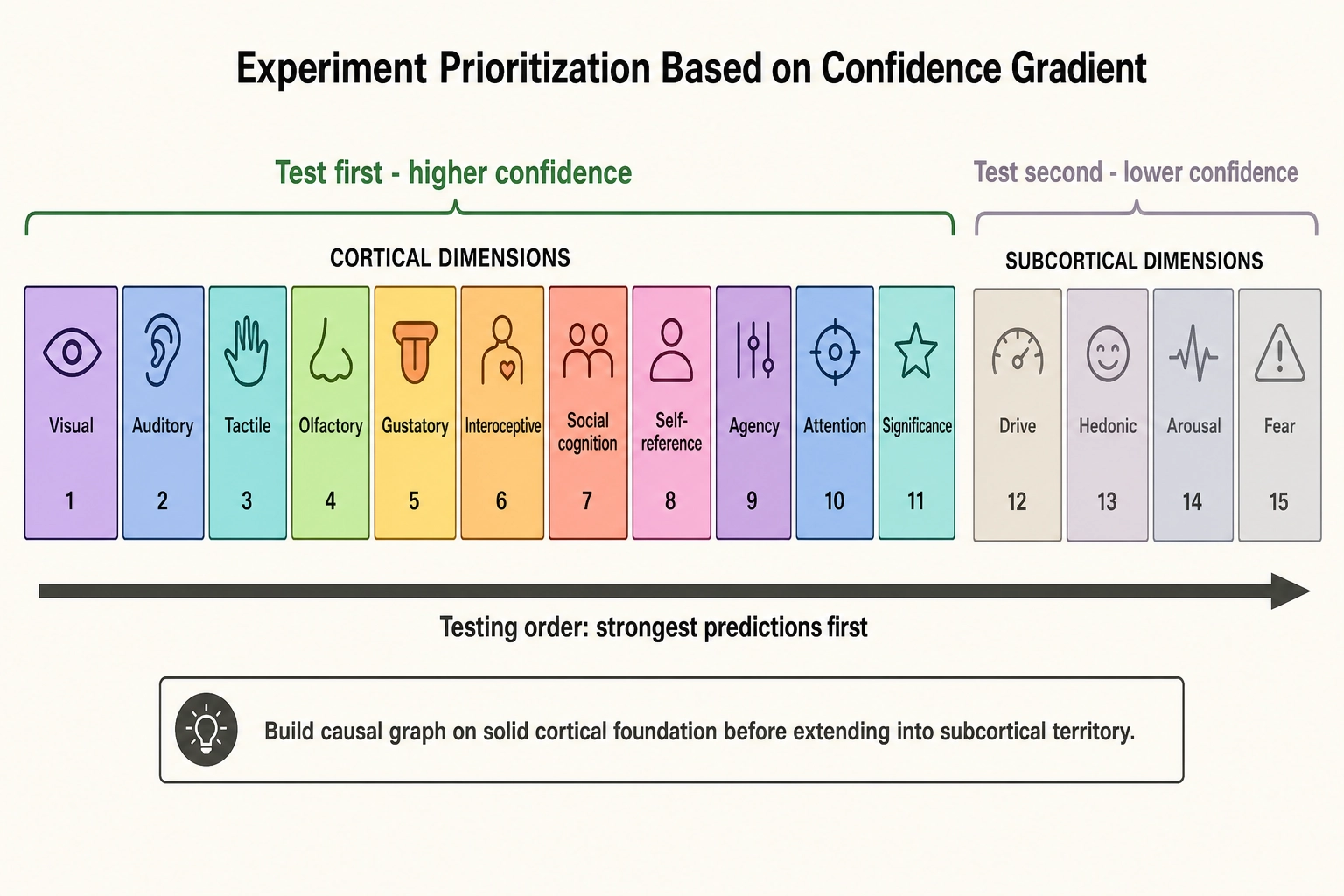 Experiment prioritization based on the confidence gradient. Test first (higher confidence): eleven cortical dimensions -- Visual, Auditory, Tactile, Olfactory, Gustatory, Interoceptive, Social cognition, Self-reference, Agency, Attention, Significance. Test second (lower confidence): four subcortical dimensions -- Drive, Hedonic, Arousal, Fear. Build the causal graph on the strongest cortical foundation before extending into subcortical territory.