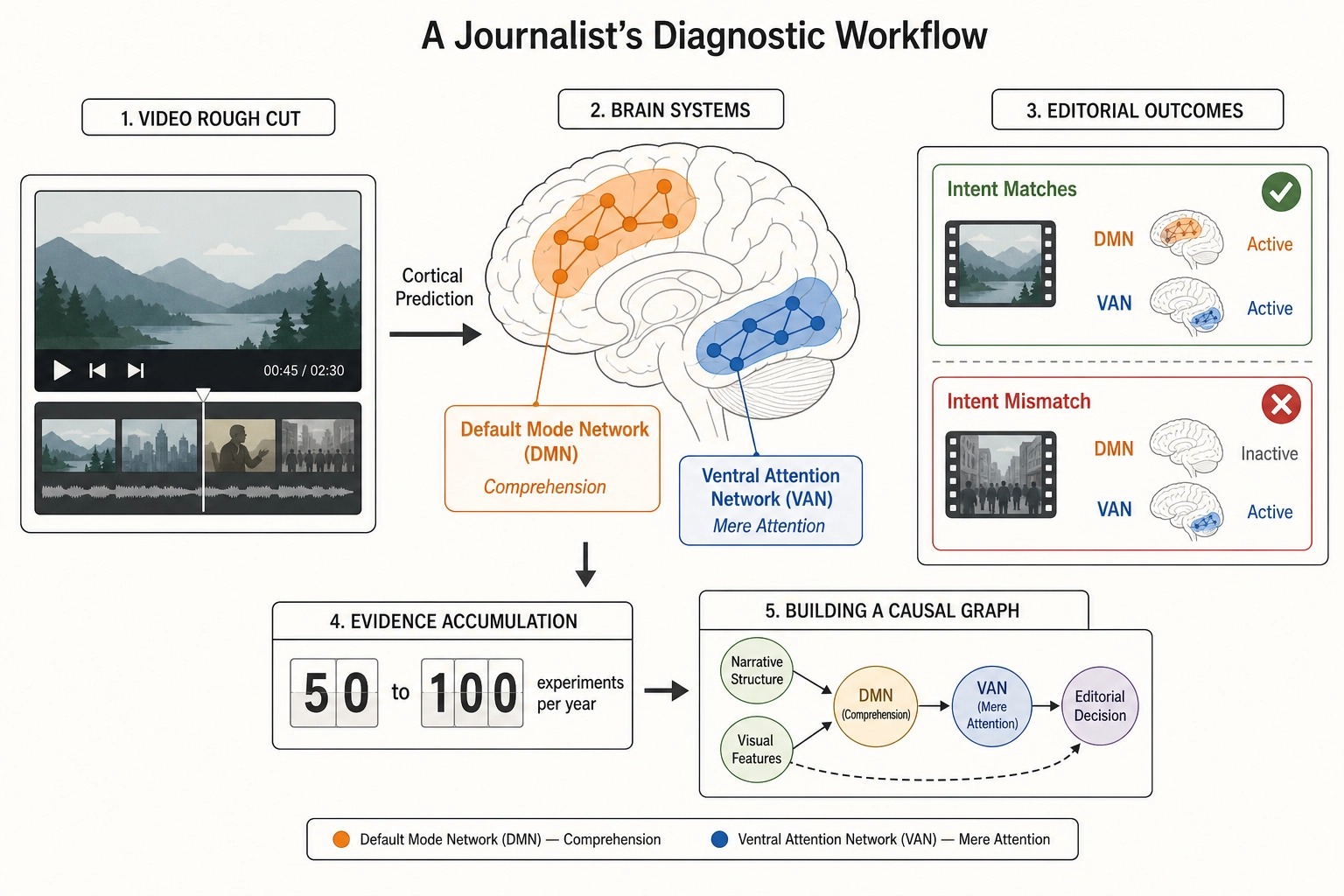 Journalist's diagnostic workflow showing cortical prediction from video rough cut, DMN versus ventral attention comparison, and causal graph accumulation