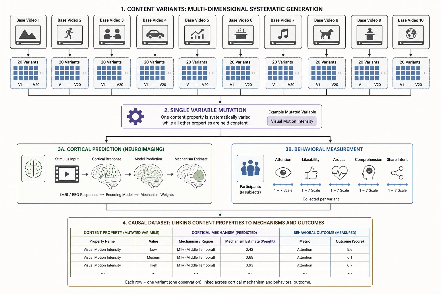 Research methodology pipeline showing base videos, single-variable mutation, cortical prediction and behavioral measurement tracks, and causal dataset